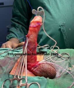 c42img7